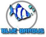   BlueBarbus