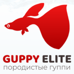   Guppy Elite